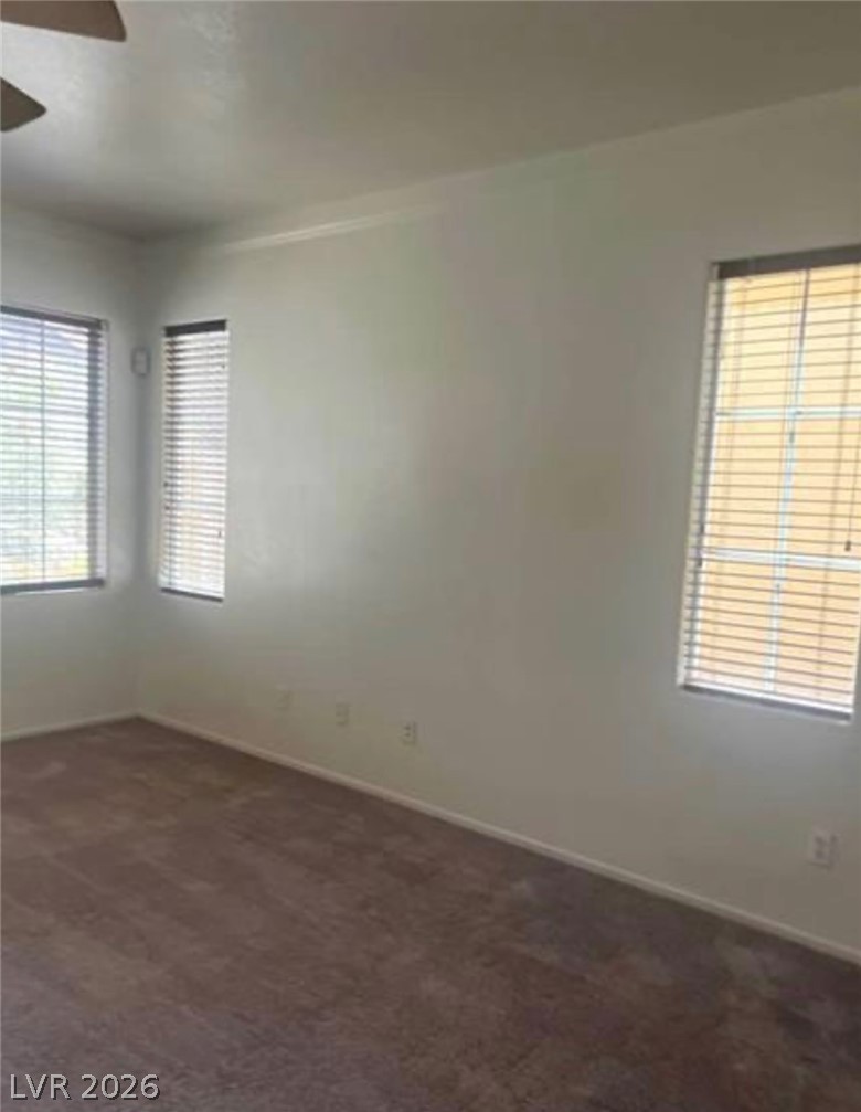 Photo 17 of 43, 4039 Meadow Foxtail Drive