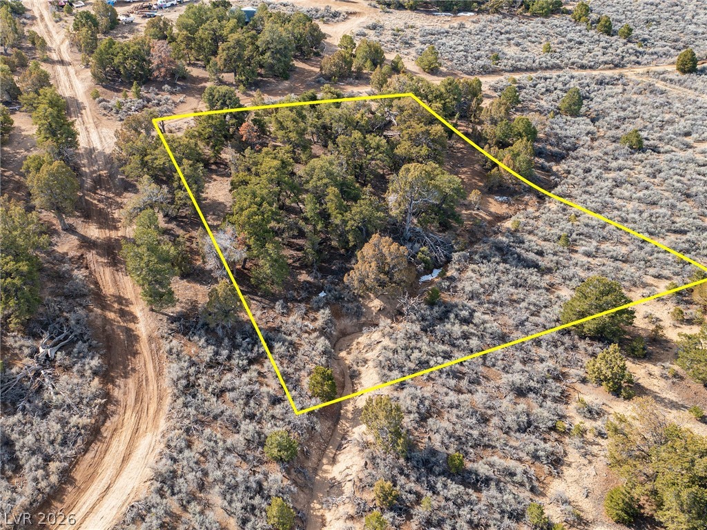 Photo 2 of Pinion Pines