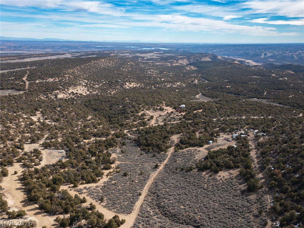 Photo 3 of Pinion Pines