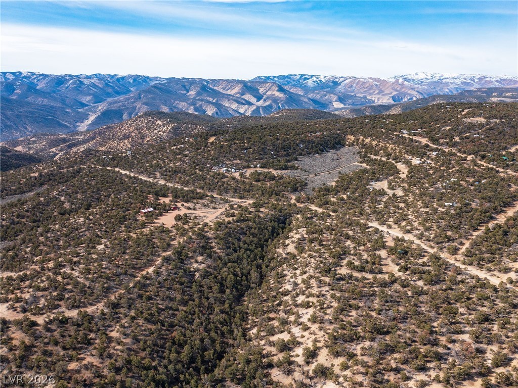 Photo 4 of Pinion Pines