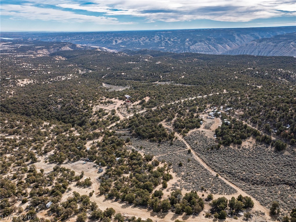 Photo 7 of 18, Pinion Pines