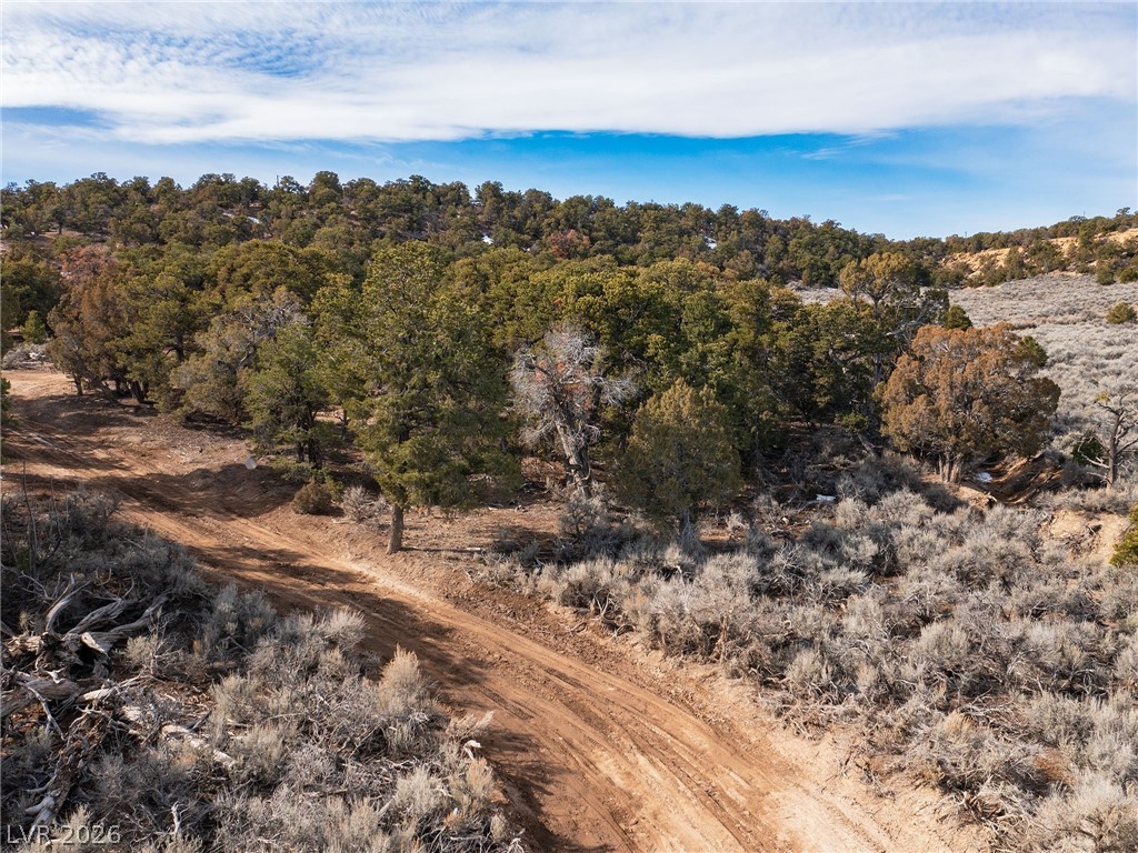 Photo 8 of 18, Pinion Pines