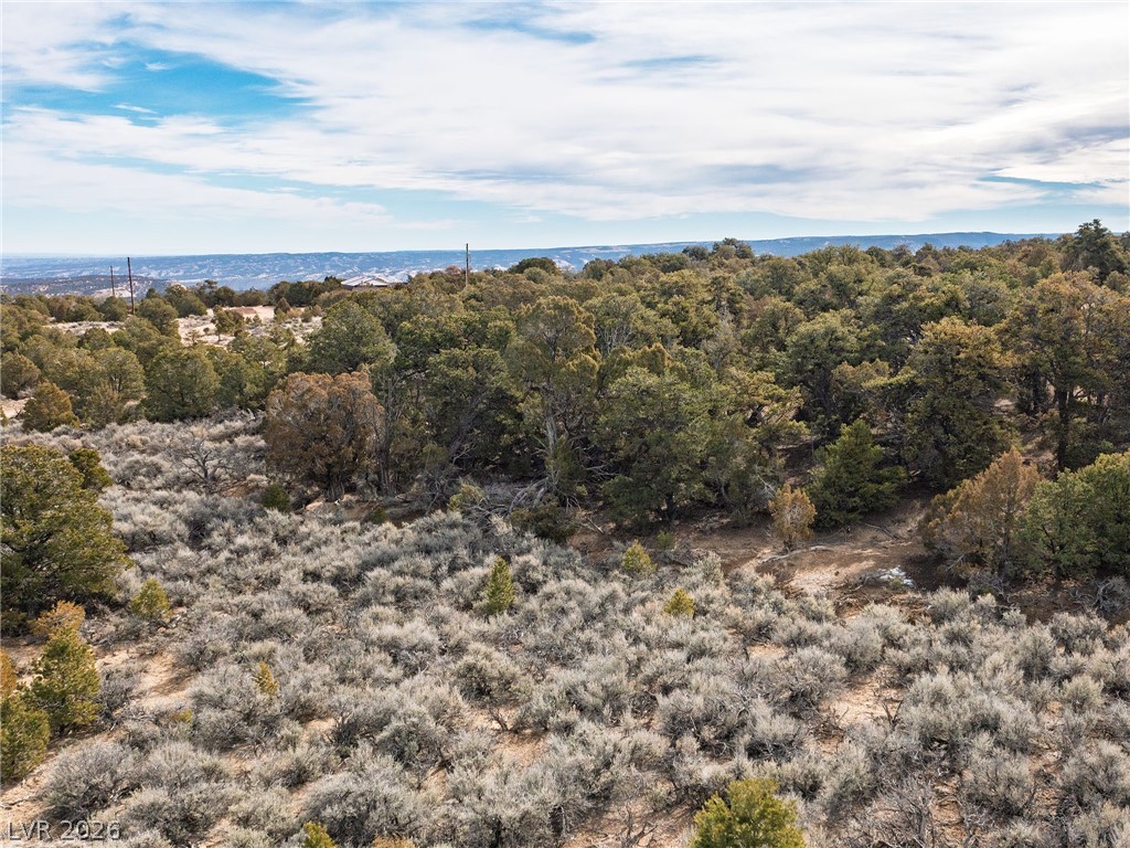 Photo 9 of 18, Pinion Pines