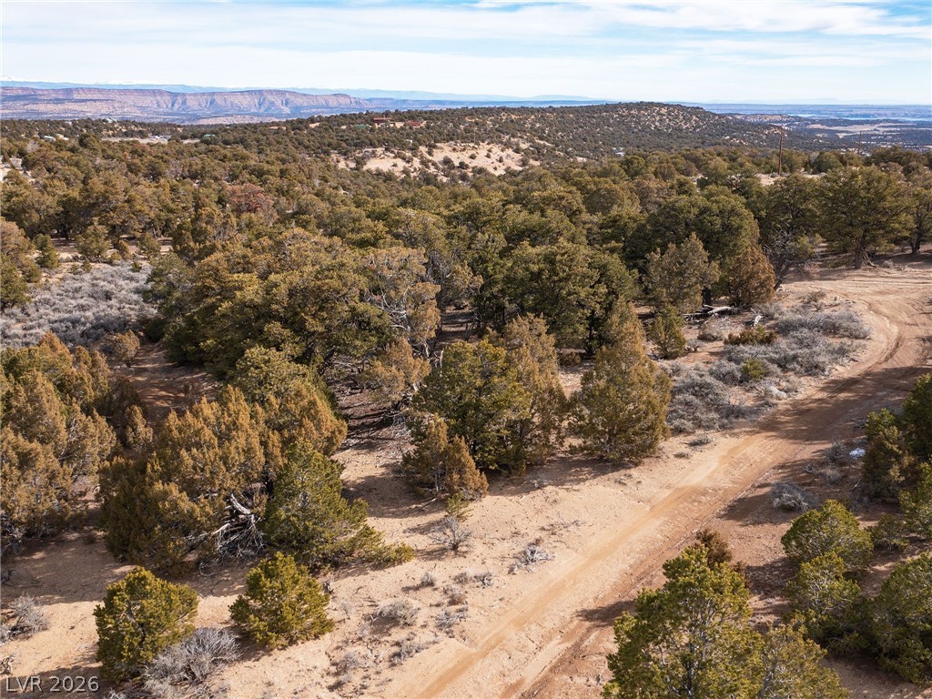 Photo 10 of 18, Pinion Pines