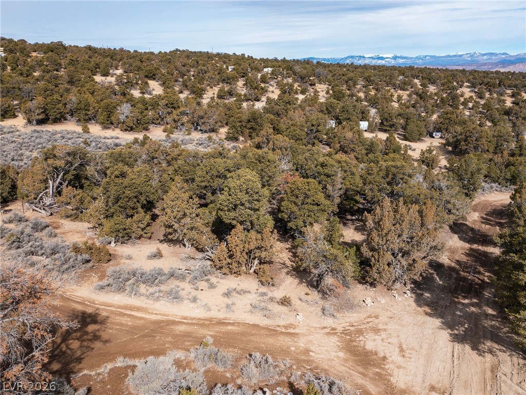 Photo 11 of 18, Pinion Pines