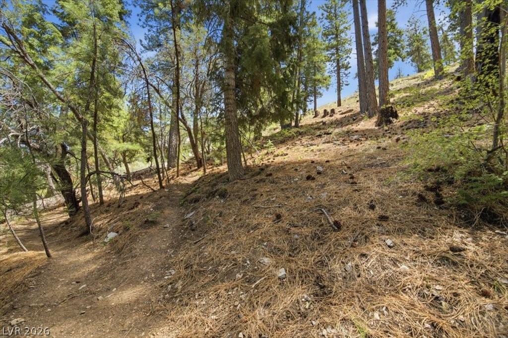 Photo 7 of 40, 3953 Ski Trail Circle