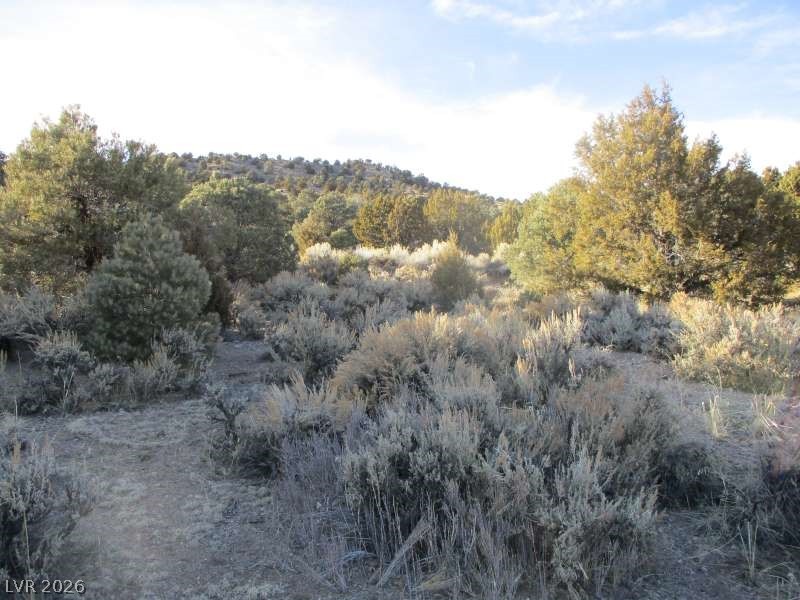 NV Hwy 322 (30.15 Ac), Pioche