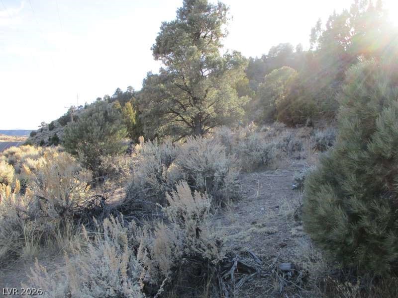 Photo 4 of NV Hwy 322 (30.15 Ac)
