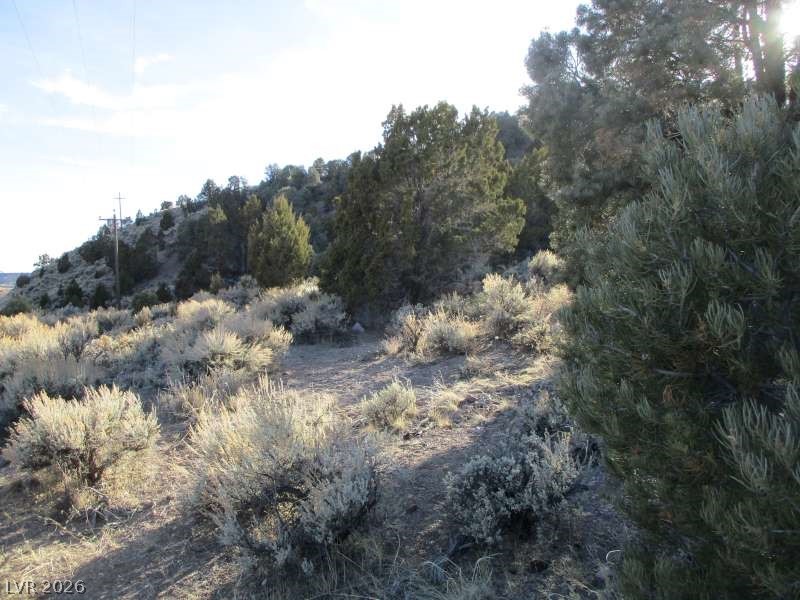 Photo 5 of NV Hwy 322 (30.15 Ac)