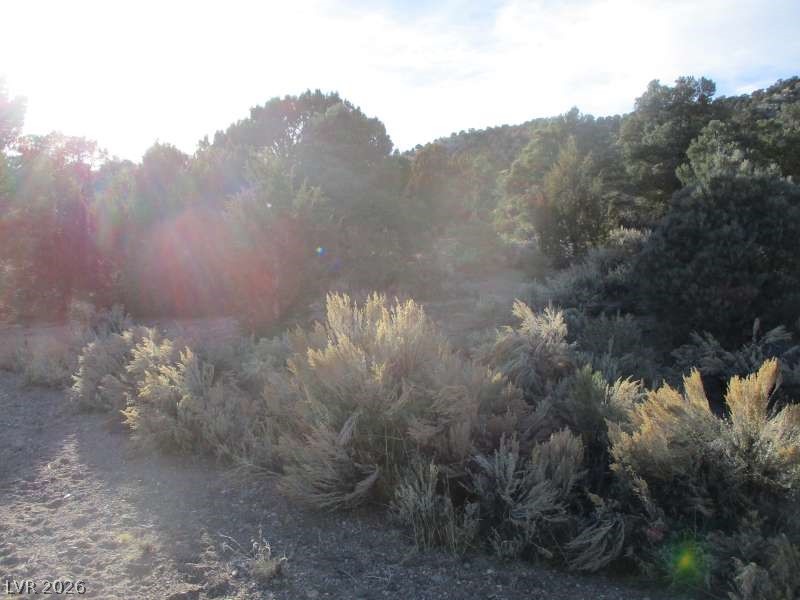 Photo 6 of 13, NV Hwy 322 (30.15 Ac)