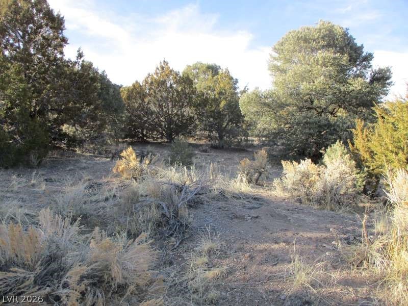 Photo 10 of 13, NV Hwy 322 (30.15 Ac)