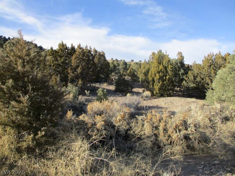 Photo 11 of 13, NV Hwy 322 (30.15 Ac)