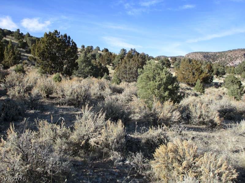 NV Hwy 322 (10.012 Ac), Pioche