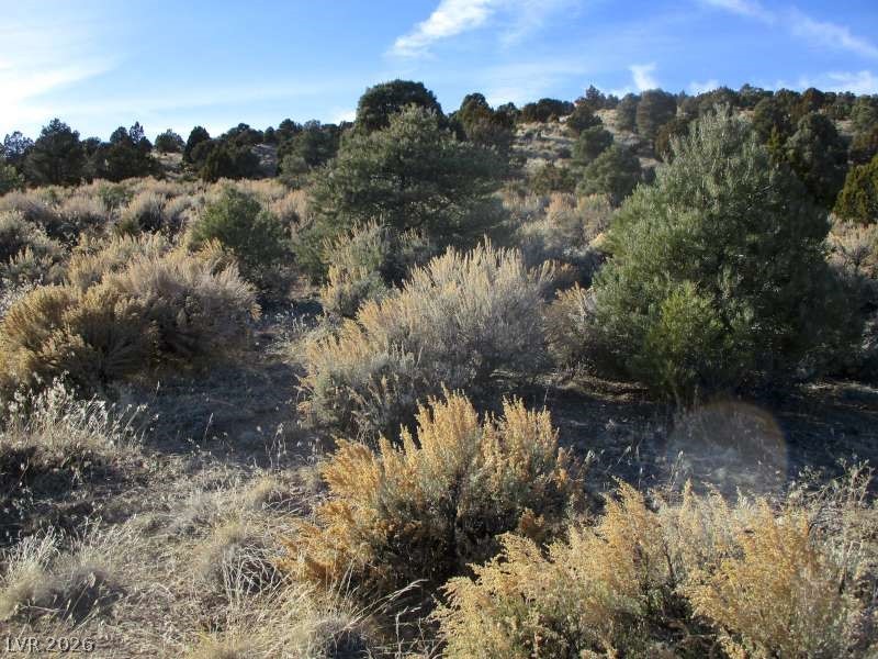 Photo 2 of NV Hwy 322 (10.012 Ac)