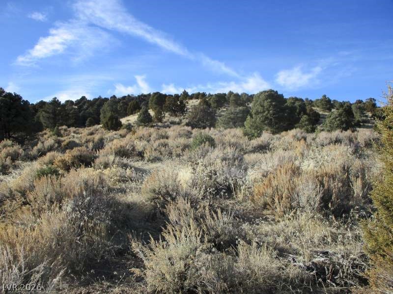 Photo 3 of NV Hwy 322 (10.012 Ac)