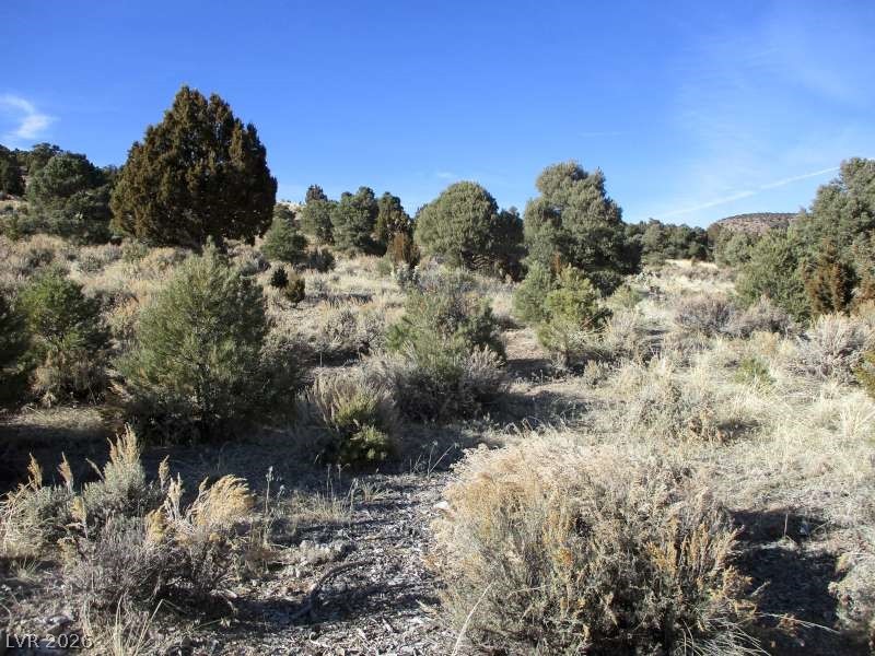 Photo 4 of NV Hwy 322 (10.012 Ac)
