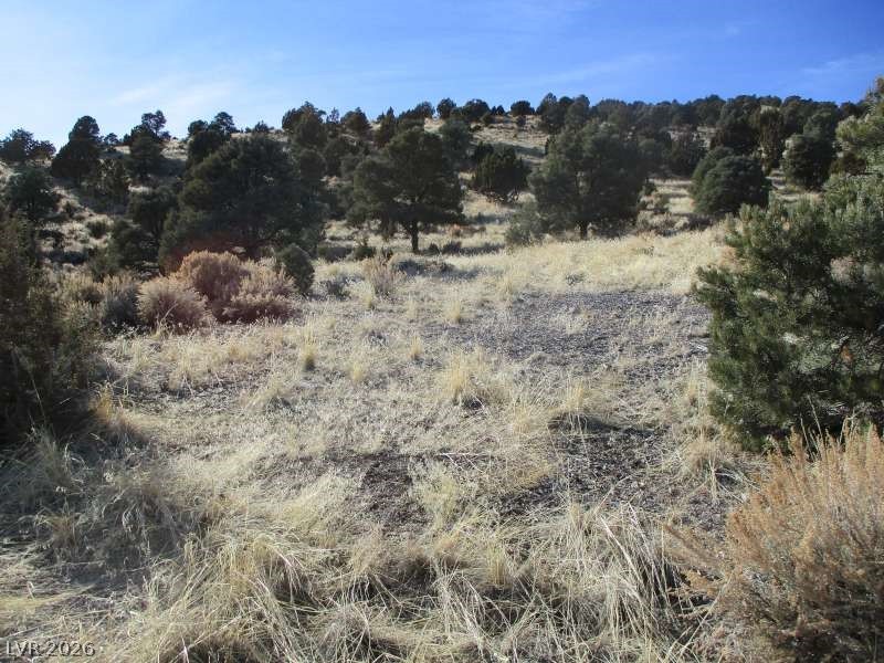 Photo 5 of NV Hwy 322 (10.012 Ac)