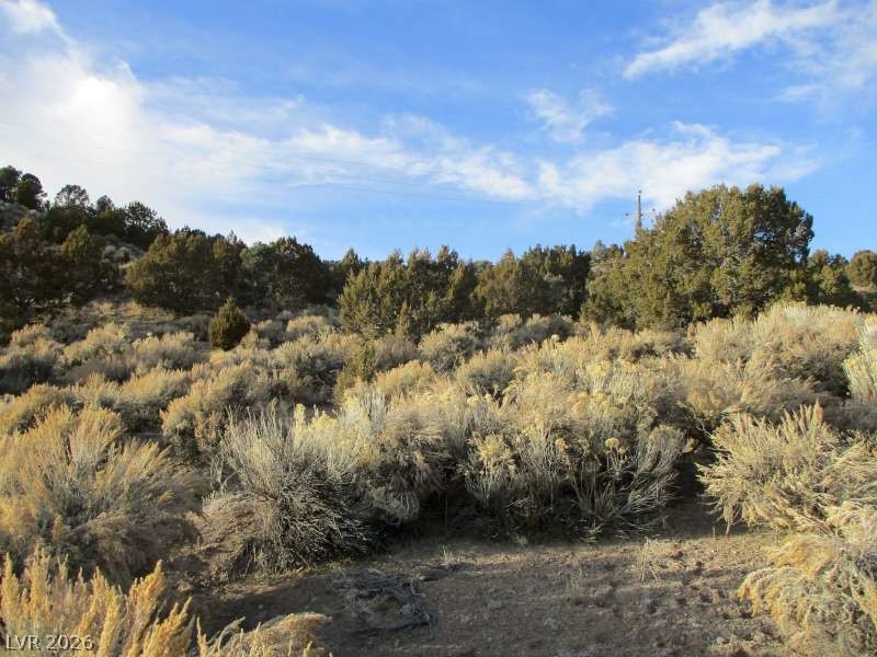 NV Hwy 322 (9.86 Ac), Pioche 89043