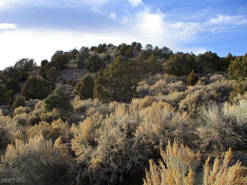 Photo 3 of NV Hwy 322 (9.86 Ac)