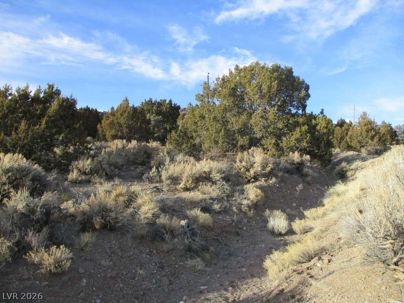 Photo 4 of NV Hwy 322 (9.86 Ac)
