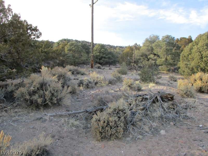 Photo 5 of NV Hwy 322 (9.86 Ac)