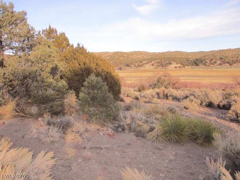 Photo 6 of 9, NV Hwy 322 (9.86 Ac)