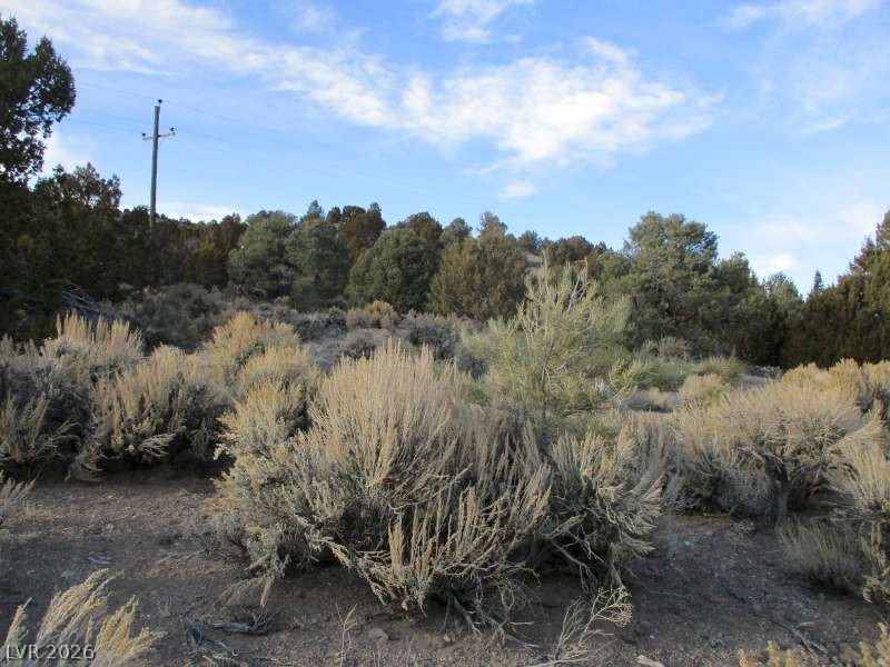 Photo 7 of 9, NV Hwy 322 (9.86 Ac)