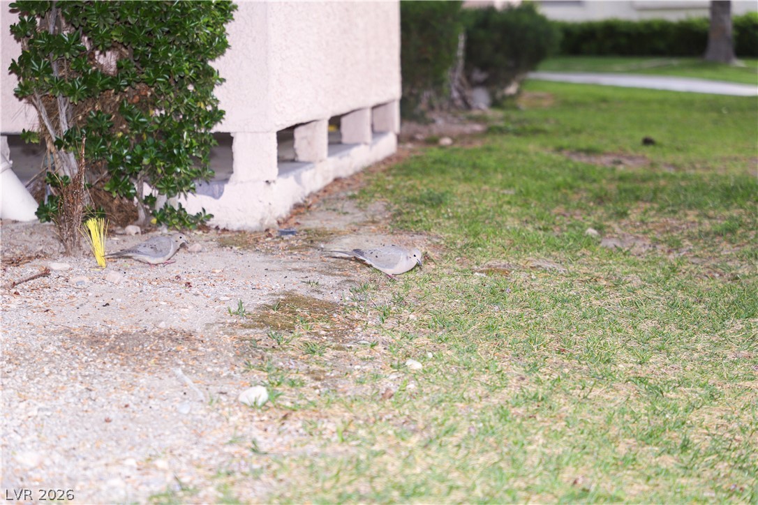 Photo 95 of 99, 4861 S Torrey Pines Drive #106