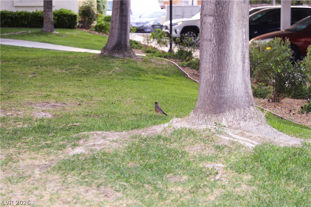 Photo 96 of 99, 4861 S Torrey Pines Drive #106