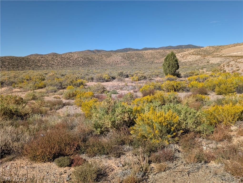 US Hwy 93 (25 Acres), Caliente