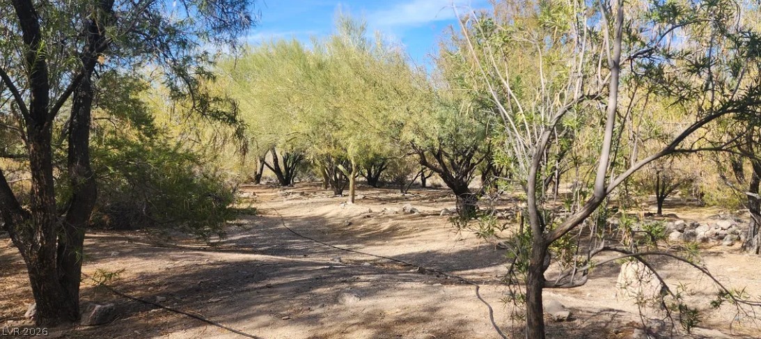 Photo 6 of 7, Gold Butte Road