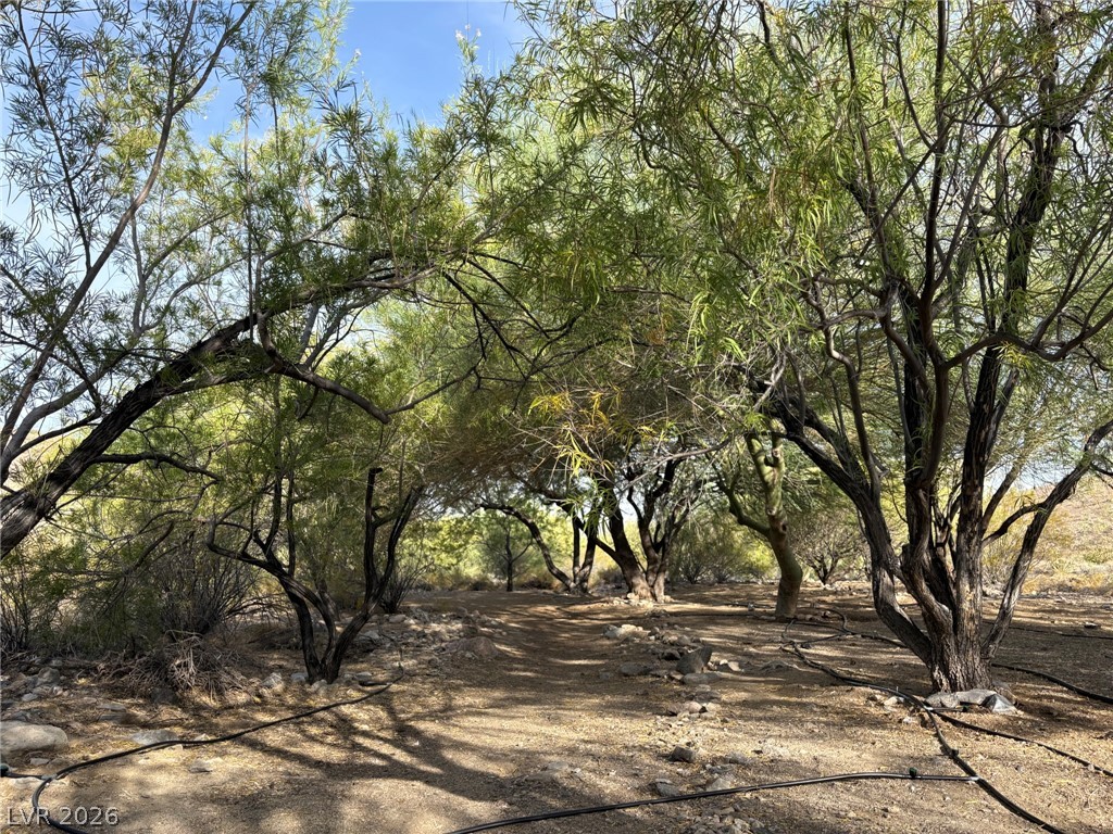 Photo 7 of 7, Gold Butte Road