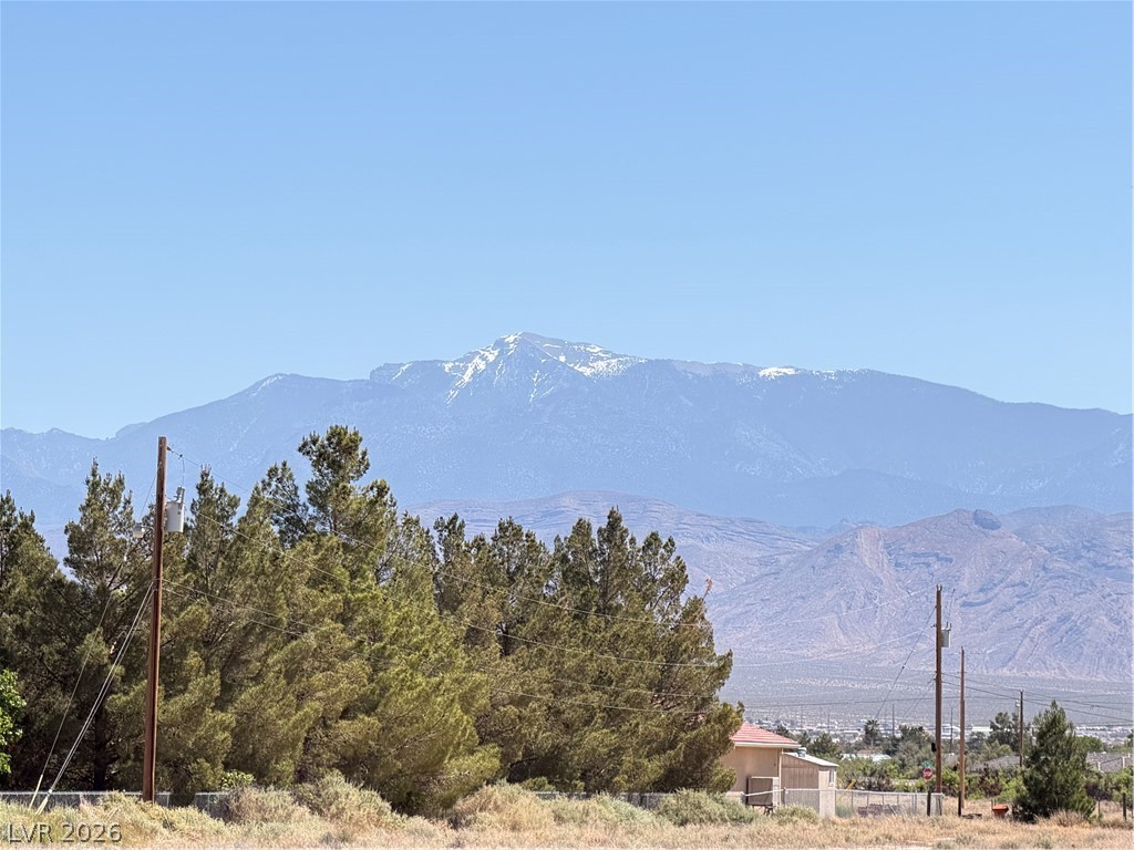 1880 Escuela Avenue, Pahrump 89048