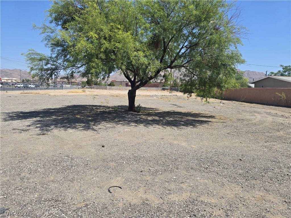 Photo 4 of Christy & Lake Mead