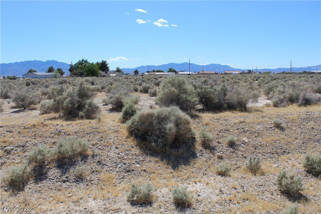 2240 S Jacaranda Street, Pahrump 89048