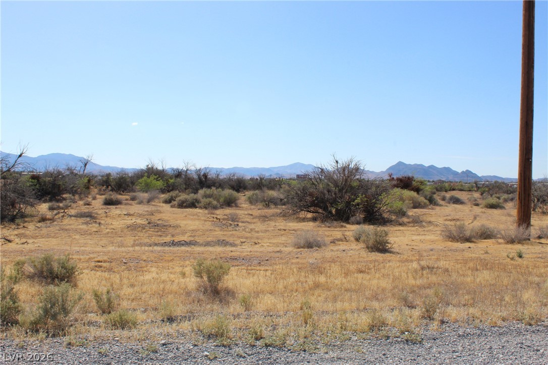 1180 S Old West Avenue, Pahrump 89048