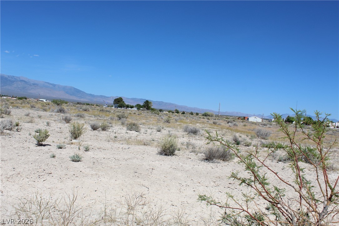 10091 S Robert Road, Pahrump 89048