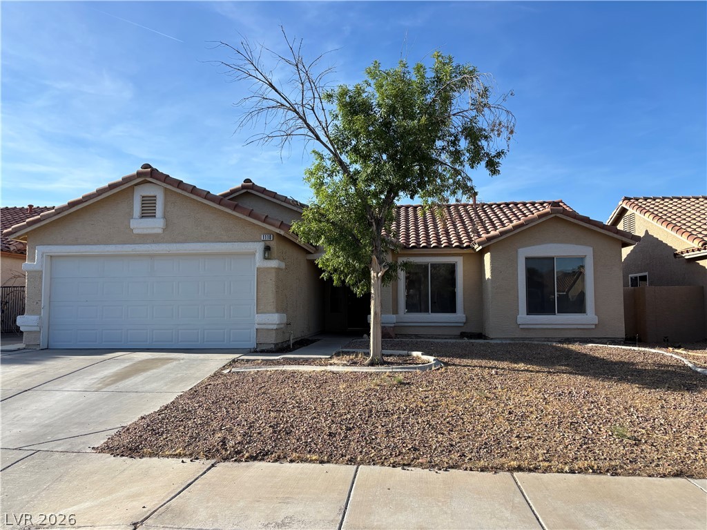 1110 Sport Of Kings Avenue, Henderson