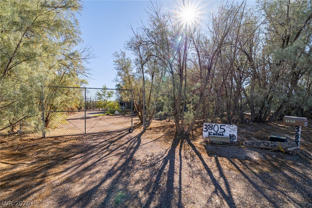 Photo 3 of 3805 W Amargosa Farm Road