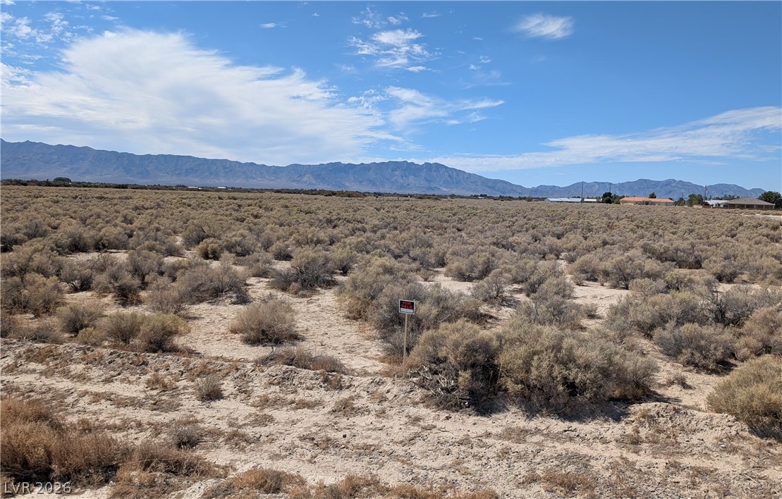 3950 S Kid Avenue, Pahrump 89048