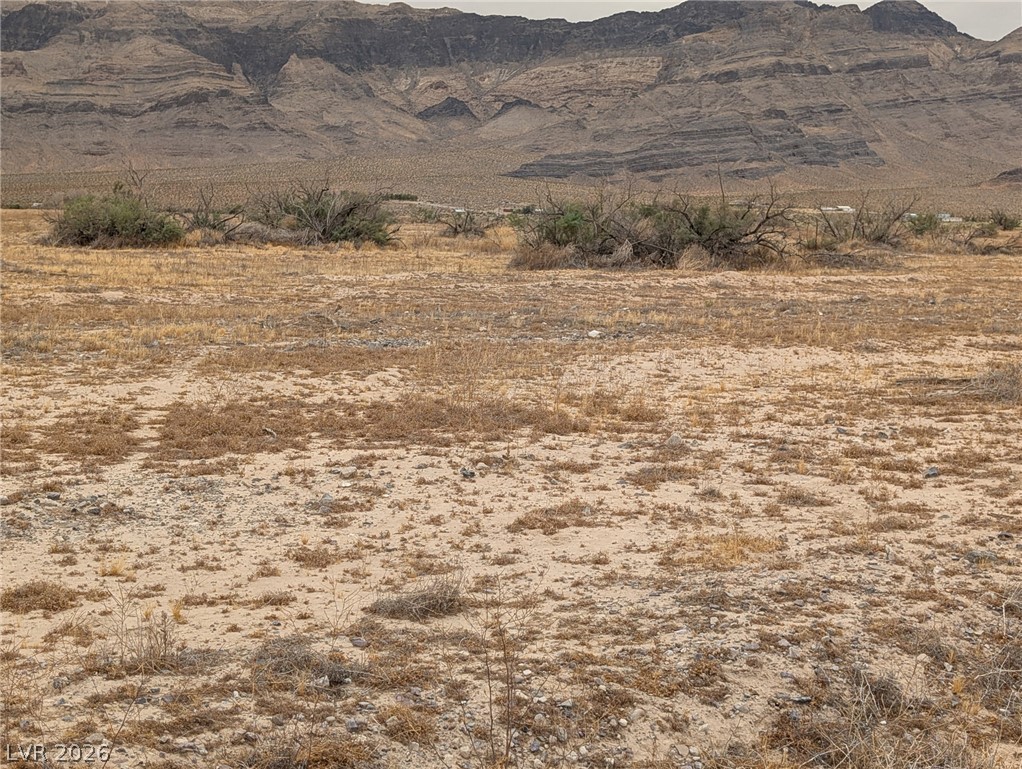 5900 N Fitzroy Avenue, Pahrump 89060