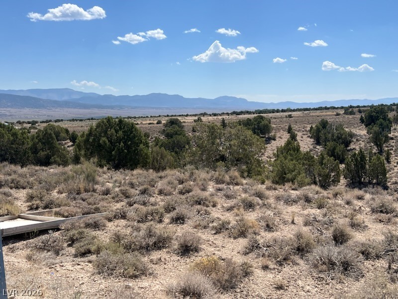 Pinyon Pine, Ely 89301