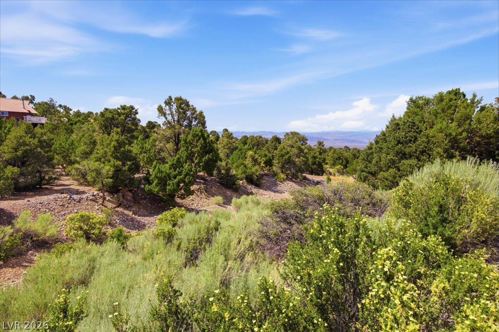 155 Oak Trail Circle, Cold Creek