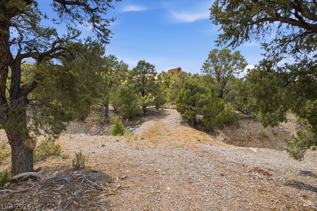 Photo 4 of 155 Oak Trail Circle