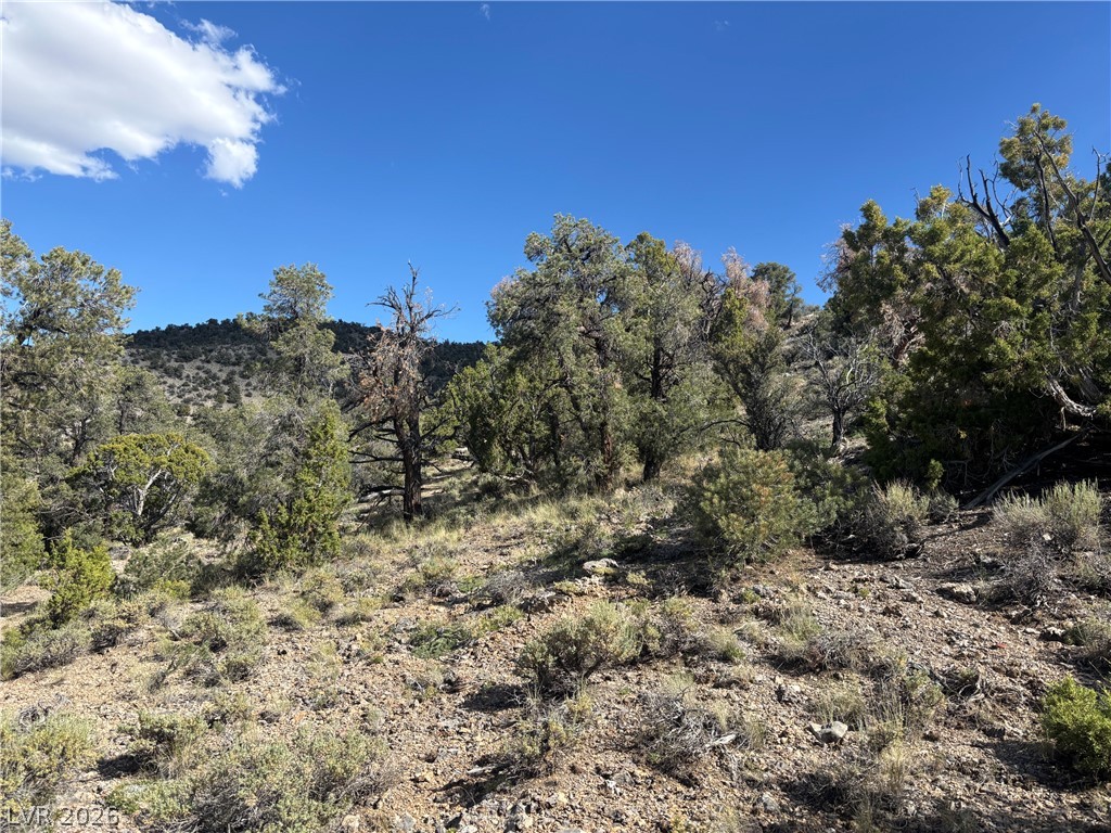 Photo 13 of 13, Blackhorse Mining claim off of Lackawana Road