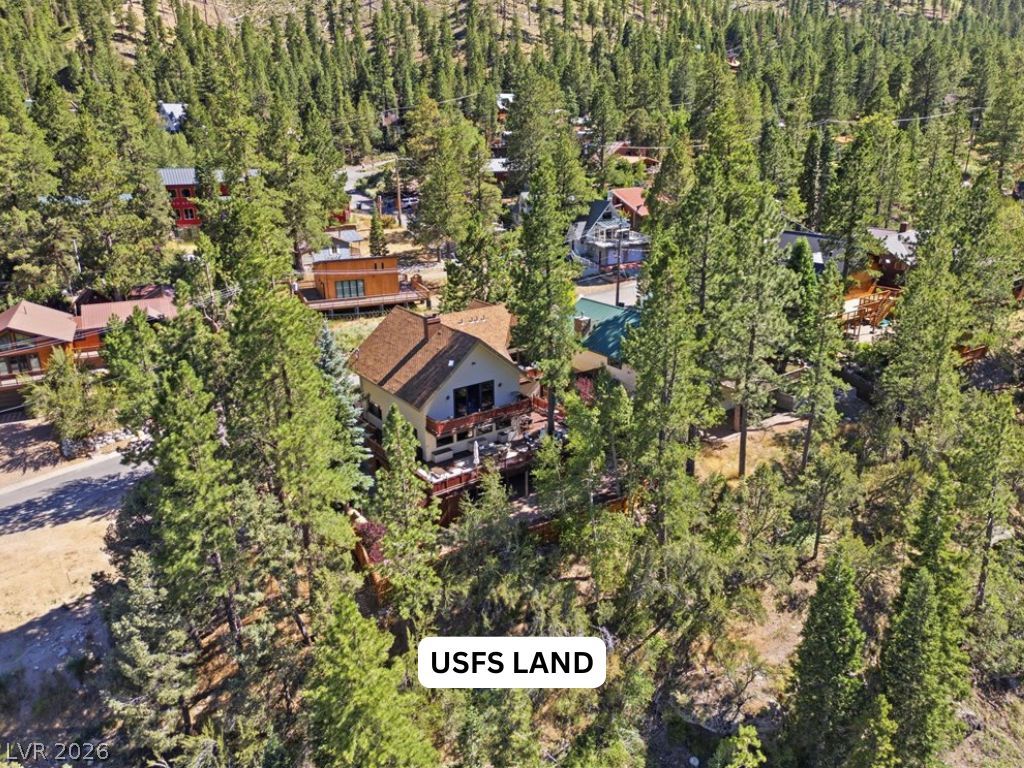 3940 White Fir Way, Mount Charleston 89124