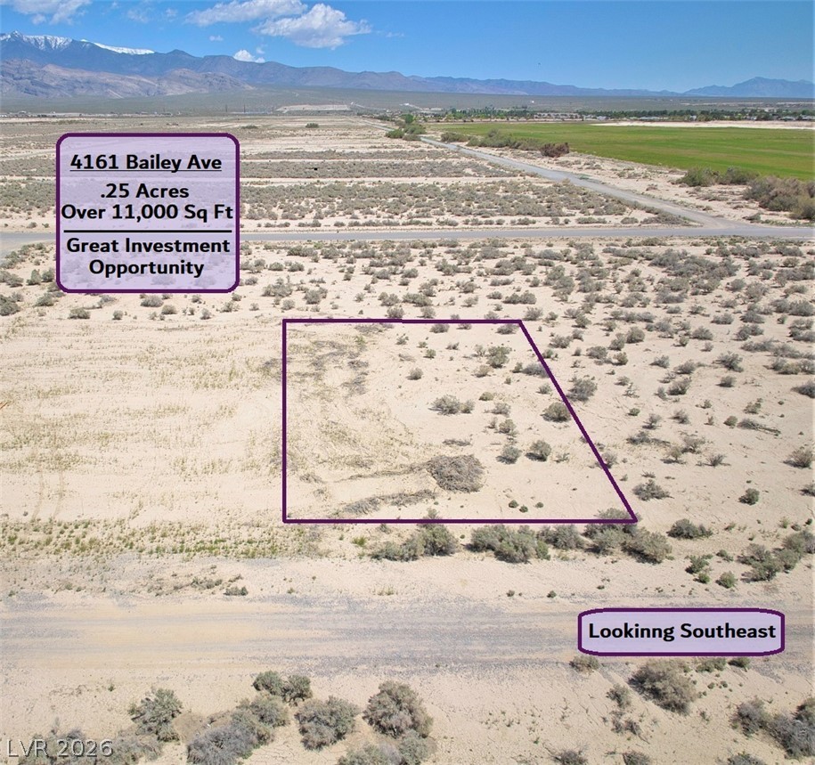 4161 S Bailey Avenue, Pahrump 89048