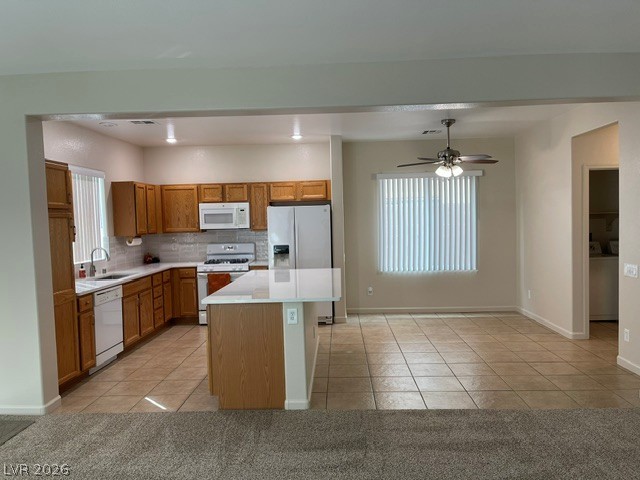 Photo 12 of 42, 730 Sand Primrose Street