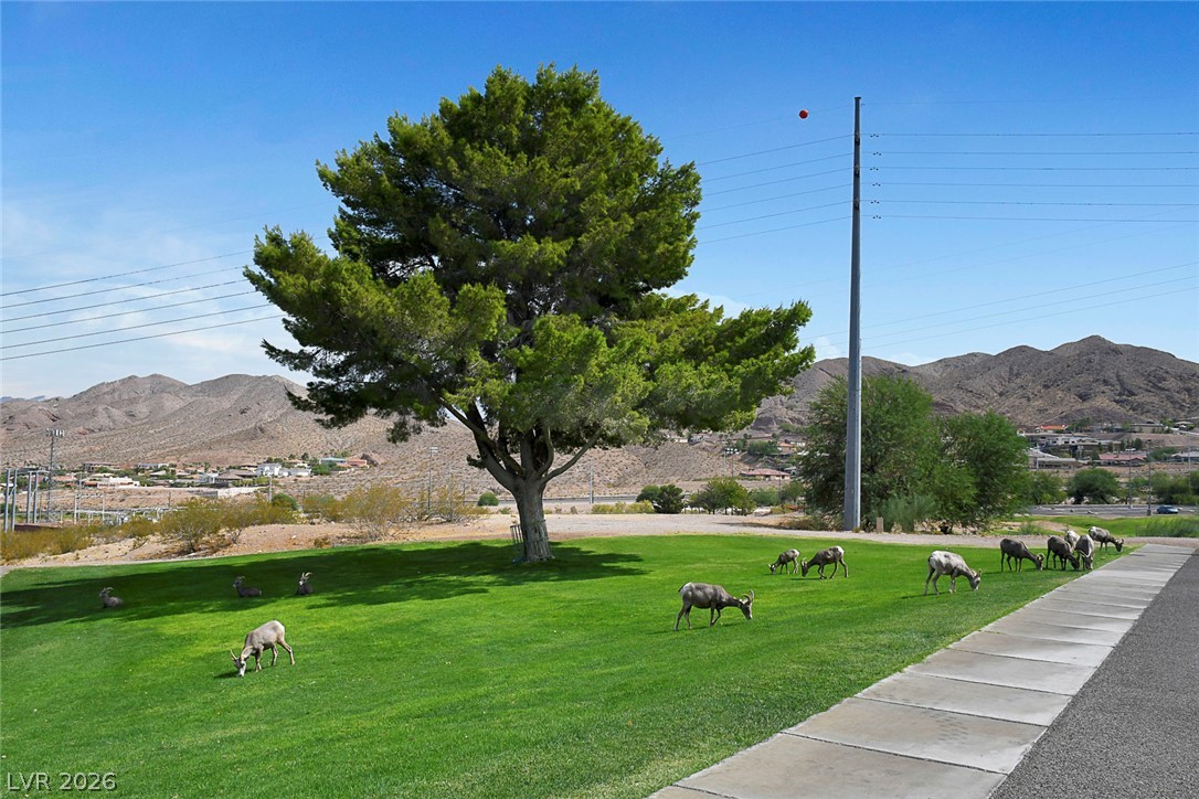 Photo 43 of 44, 278 Big Horn Drive