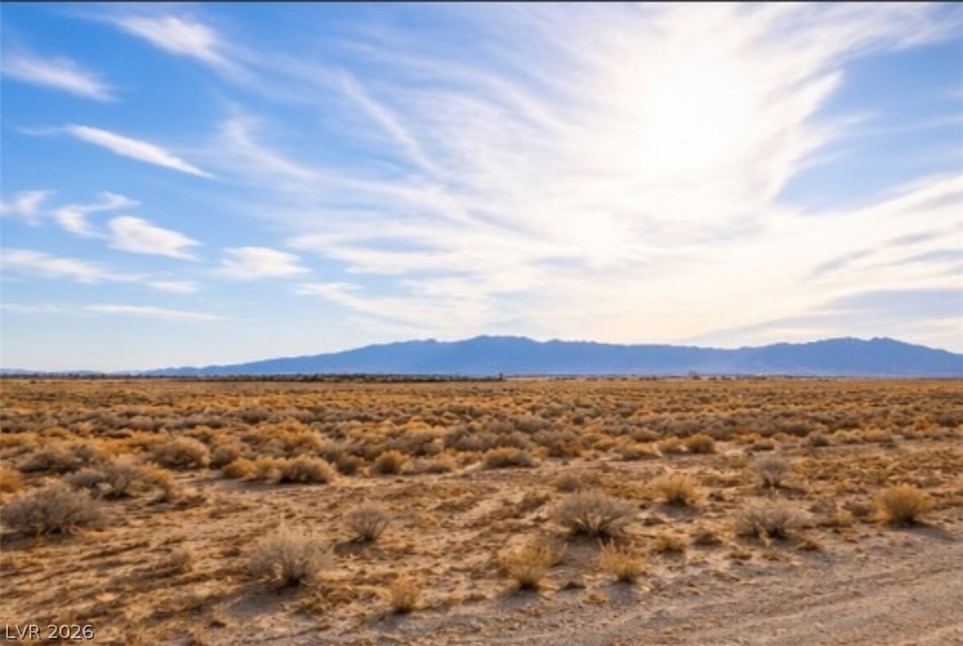 4481 E Gamebird Road, Pahrump 89048